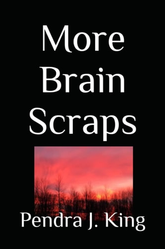 More Brain Scraps