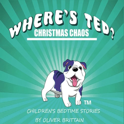 WHERE'S TED?: CHRISTMAS CHAOS