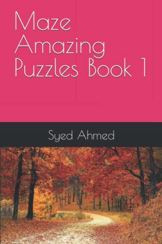 Maze Amazing Puzzles Book 1