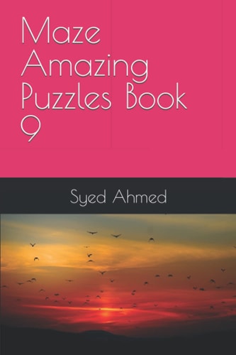 Maze Amazing Puzzles Book 9
