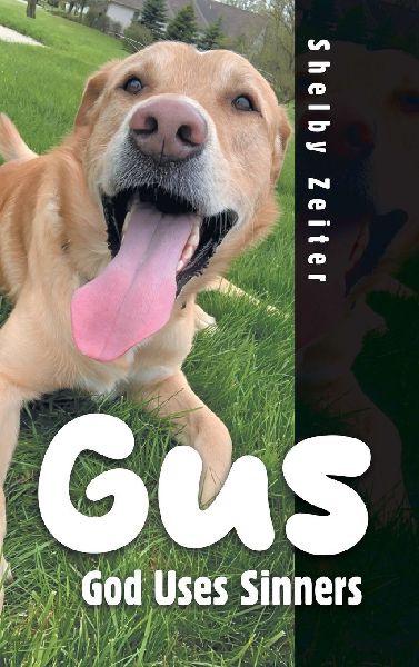 GUS: God Uses Sinners