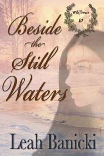 Beside the Still Waters Western Romance on the Frontier