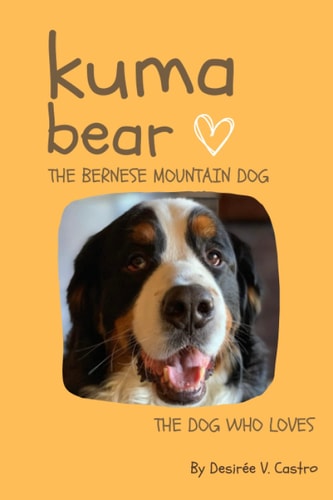 Kuma Bear, The Bernese Mountain Dog The Dog Who Loves