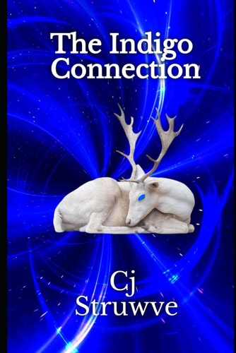 INDIGO CONNECTION.