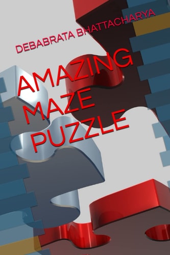 Amazing Maze Puzzle