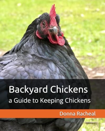 Backyard Chickens A Guide to Keeping Chickens