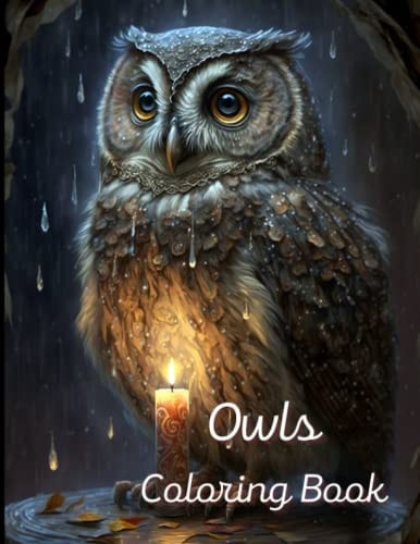 Owls Coloring Book A Painting Fun for Children and Adults. Book Cover 1