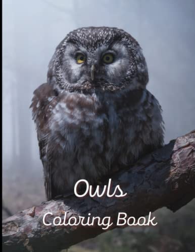 Owl Coloring Book A Painting Fun for Children and Adults. Book Cover 3