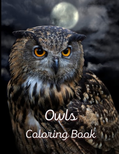 Owls Coloring Book A Painting Fun for Children and Adults. Book Cover 4