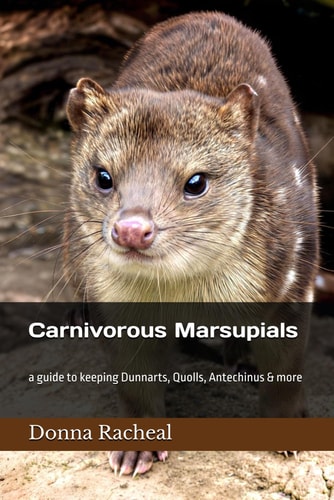 Carnivorous Marsupials A Guide to Keeping Dunnarts, Quolls, Antechinus & More