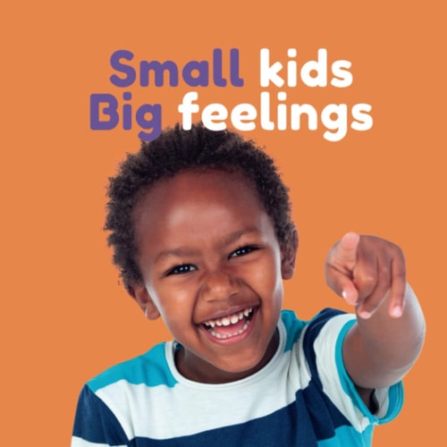 Small Kids Big Feelings