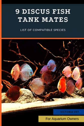 9 Discus Fish Tank Mates List of Compatible Species