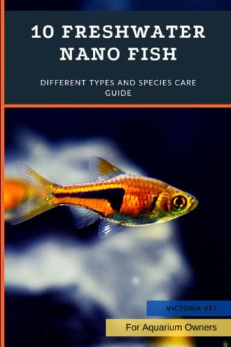 10 Freshwater Nano Fish Different Types And Species Care Guide