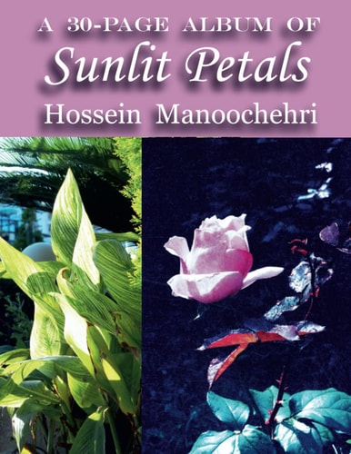 Sunlit Petals A 30-Page Album Of-