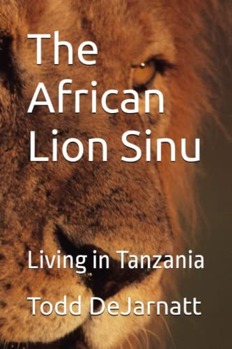 The African Lion Sinu Living in Tanzania