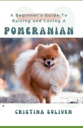 A Beginner's Guide To Raising and Loving A Pomeranian