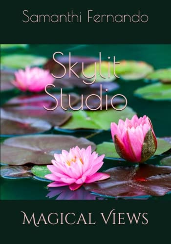 Skylit Studio Magical Views