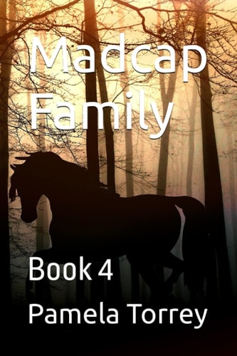 Madcap Family Book 4