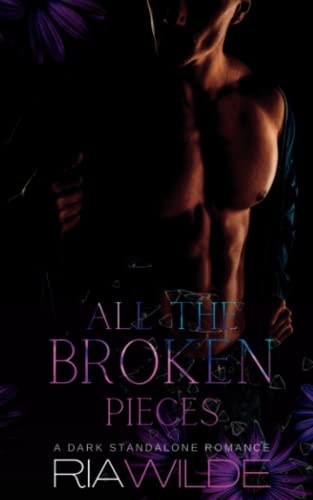 All the Broken Pieces A Standalone Dark Romance