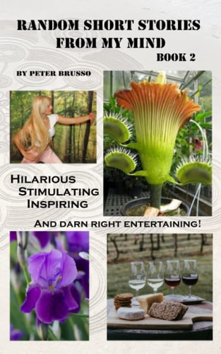 Random Short Stories from My Mind... Book 2
