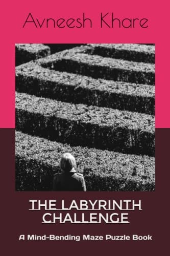 The Labyrinth Challenge A Mind-Bending Maze Puzzle Book