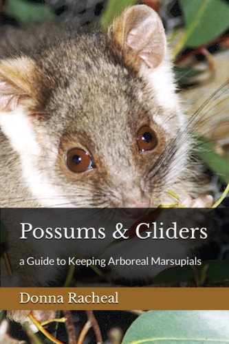 Possums & Gliders A Guide to Keeping Arboreal Marsupials