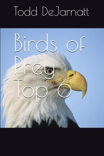 Birds of Prey Top 6