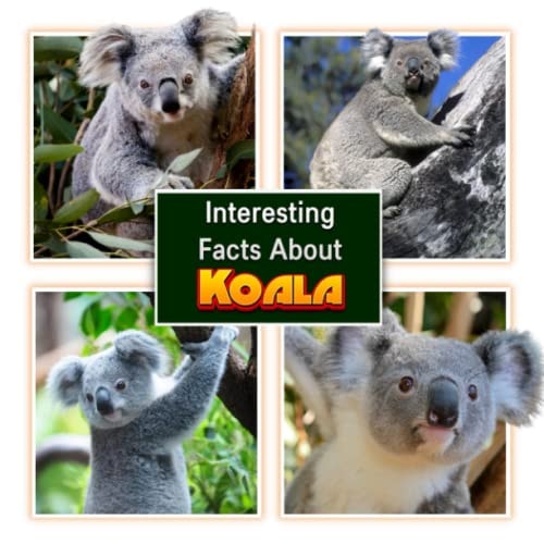 Interesting Facts About Koala Children's Picture Book for Koala / Facts About Koala for Kids