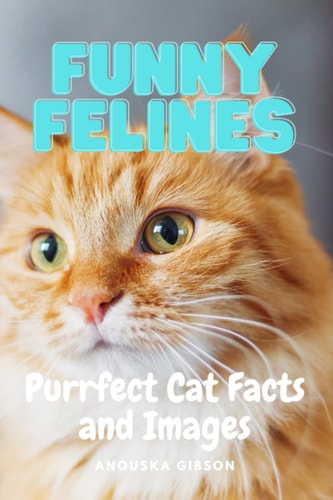 Funny Felines Purrfect Cat Facts and Images