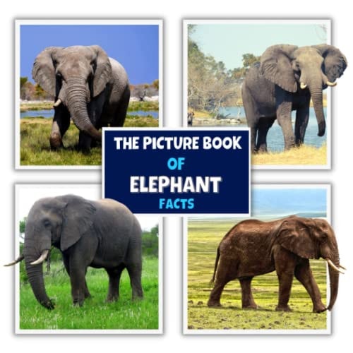 The Picture Book of Elephant Facts A Fun and Informative Photos with Fun Facts Book for Kids