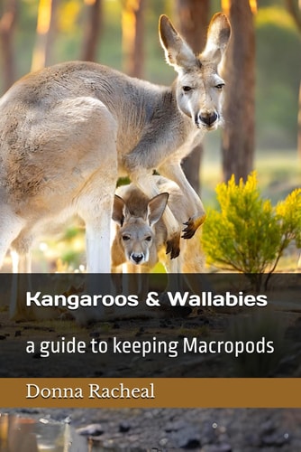 Kangaroos and Wallabies A Guide to Keeping Macropods