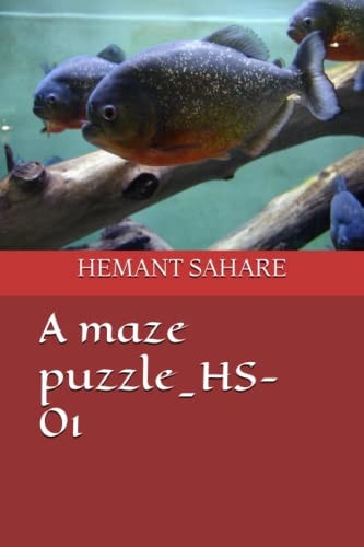 A Maze Puzzle_HS-01