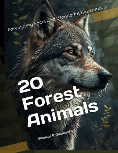 20 Forest Animals Fascinating Facts and Wonderful Illustrations