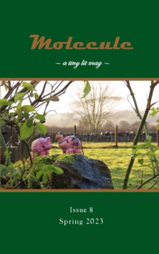 Molecule A Tiny Lit Mag #8: Spring 2023
