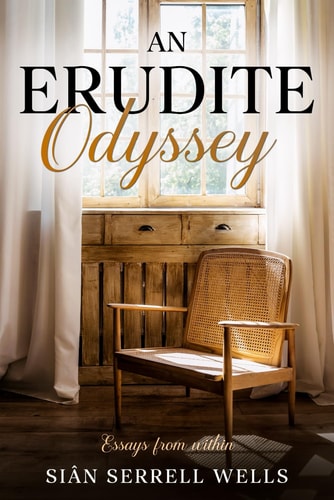 An Erudite Odyssey Essays from Within