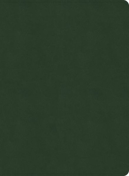 NASB Study Bible, Olive Leathertouch