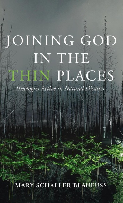 Joining God in the Thin Places: Theologies Active in Natural Disaster