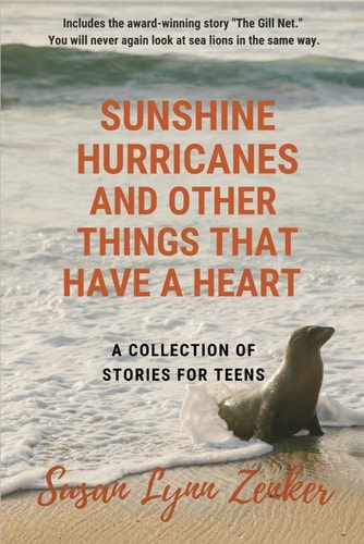 Sunshine, Hurricanes, and Other Things that Have a Heart A Collection of Stories for Teens