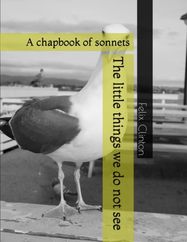 The Little Things We Do Not See A Chapbook of Sonnets