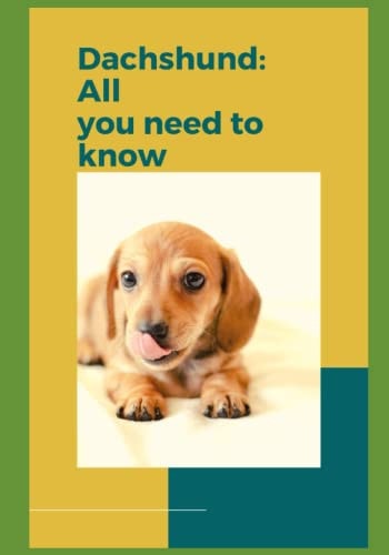 Dachshund All You Need to Know!