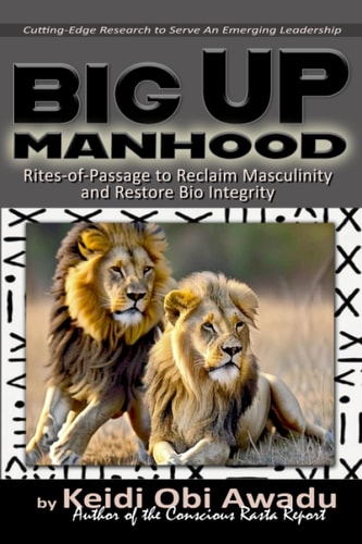 Big Up Manhood Rites-of-Passage to Reclaim Masculinity and Restore Bio Integrity