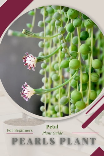 Pearls Plant Prodigy Petal, Plant Guide
