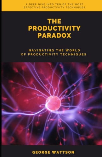 The Productivity Paradox Navigating the World of Productivity Techniques