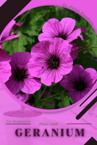 Geranium Prodigy Petal, Plant Guide