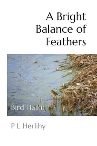 A Bright Balance of Feathers Bird Haiku