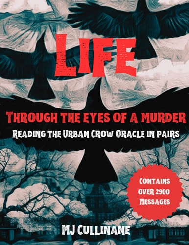 LIFE Through the Eyes of a Murder Reading the Urban Crow Oracle in Pairs