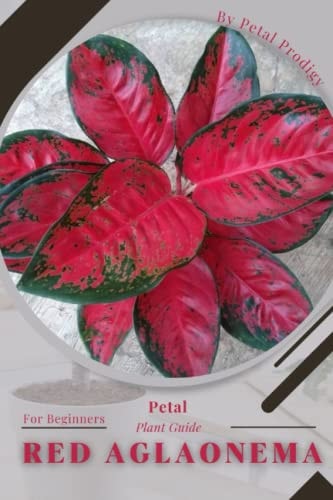 Red Aglaonema Prodigy Petal, Plant Guide