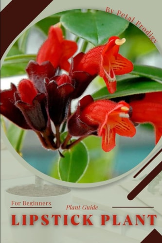 Lipstick Plant Prodigy Petal, Plant Guide