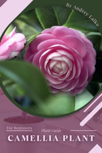 Camellia Plant Prodigy Petal, Plant Guide
