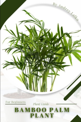 Bamboo Palm Plant Prodigy Petal, Plant Guide